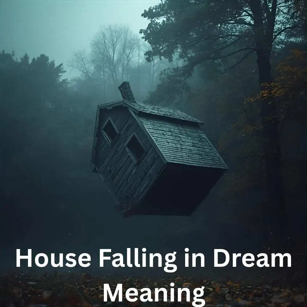 House Falling in Dream Meaning