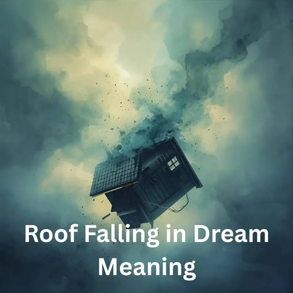 Roof Falling in Dream Meaning
