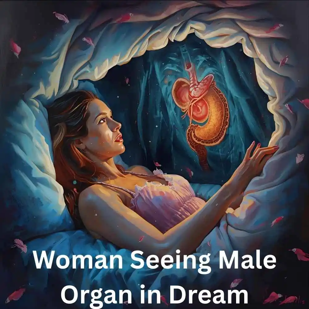 Woman Seeing Male Organ in Dream