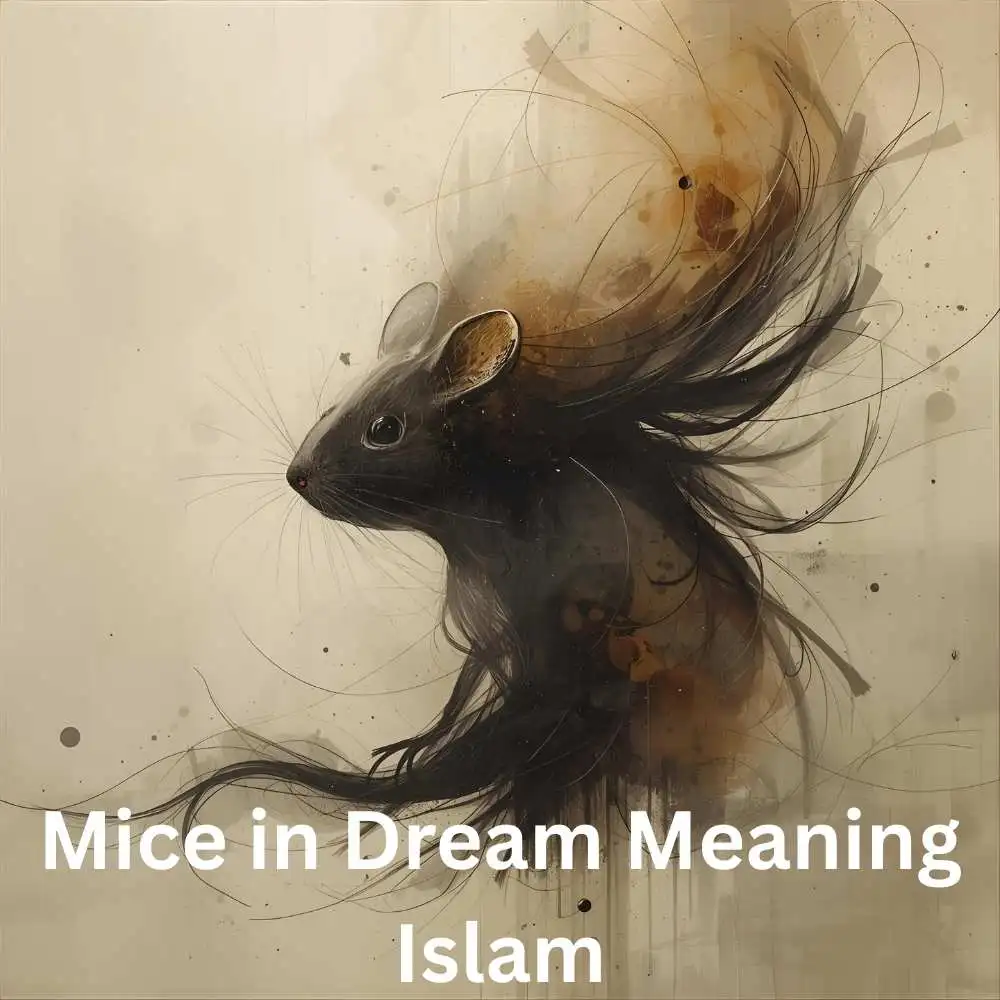 Mice in Dream Meaning Islam