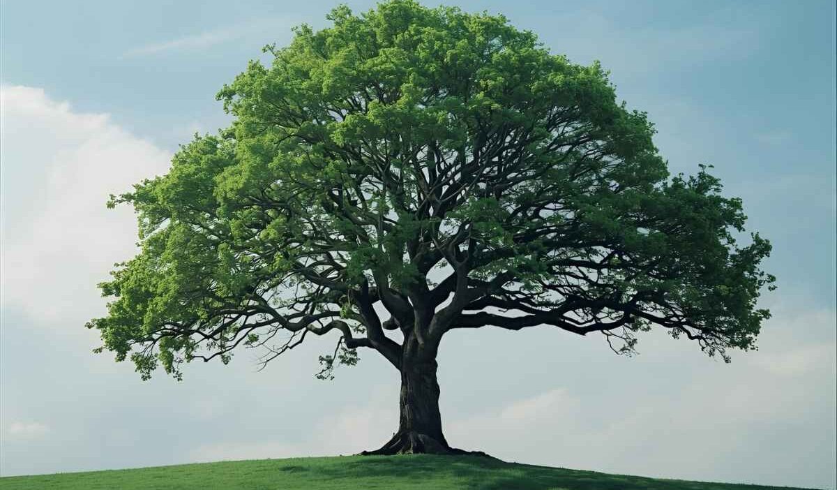 Tree in a Dream