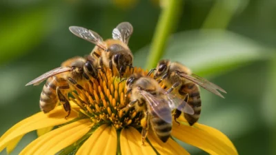 bees in dream meaning