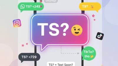 TS Meaning in Text